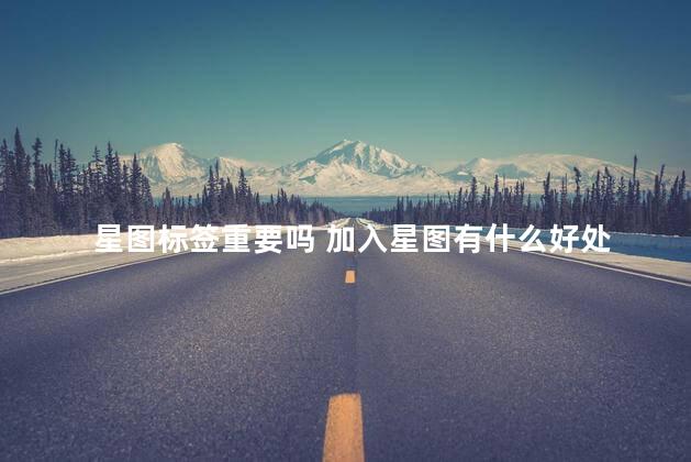 星图标签重要吗 加入星图有什么好处